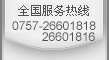 德國里其樂真空泵
